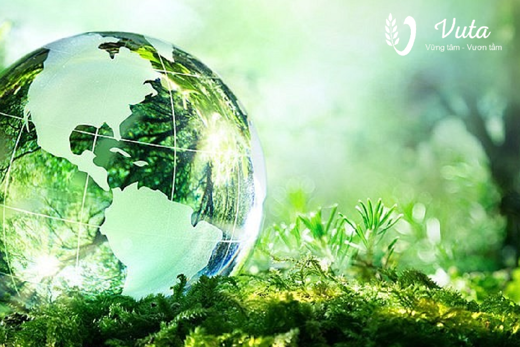 Xử lý nước Vuta Group