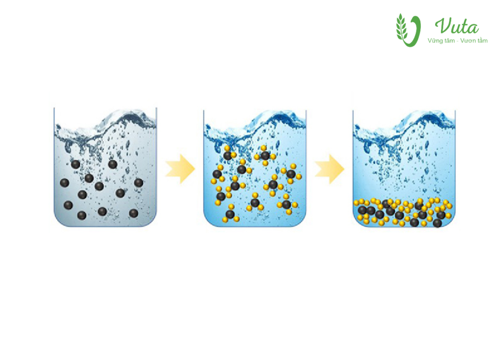 Xử lý nước Vuta Group