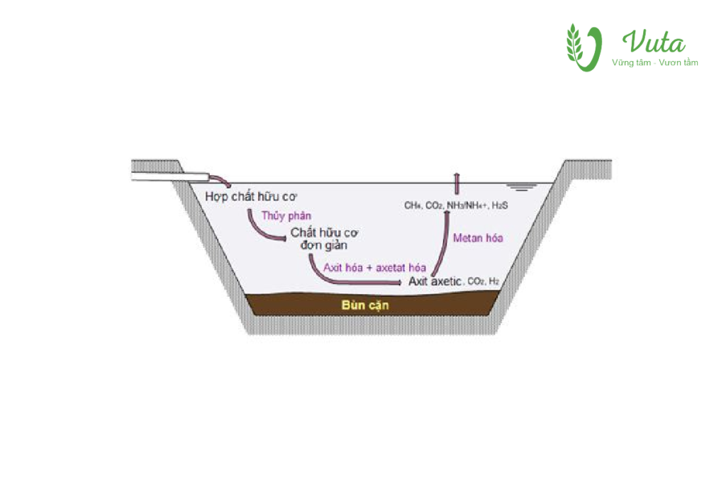 Xử lý nước Vuta Group