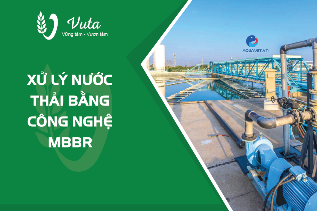 Xử lý nước thải bằng công nghệ MBBR