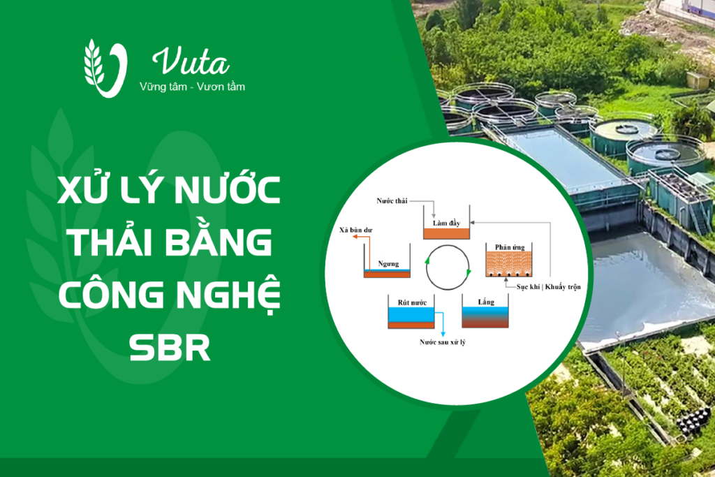 Xử lý nước thải bằng công nghệ SBR