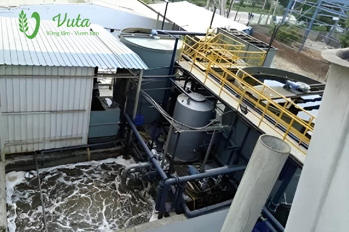 Bể xử lý nước thải sinh hoạt là gì?