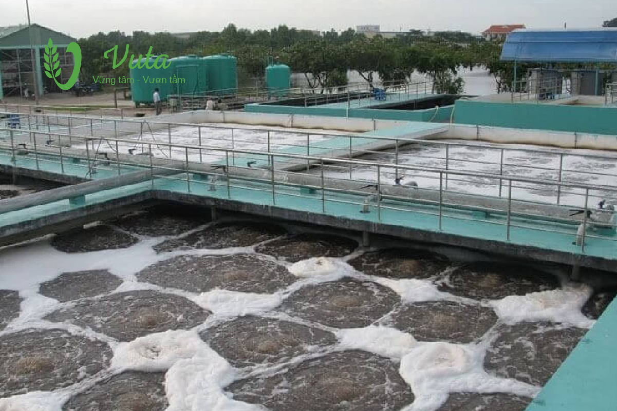 Dự án xử lý nước thải nhà máy hóa chất – Bà Rịa - Vũng Tàu