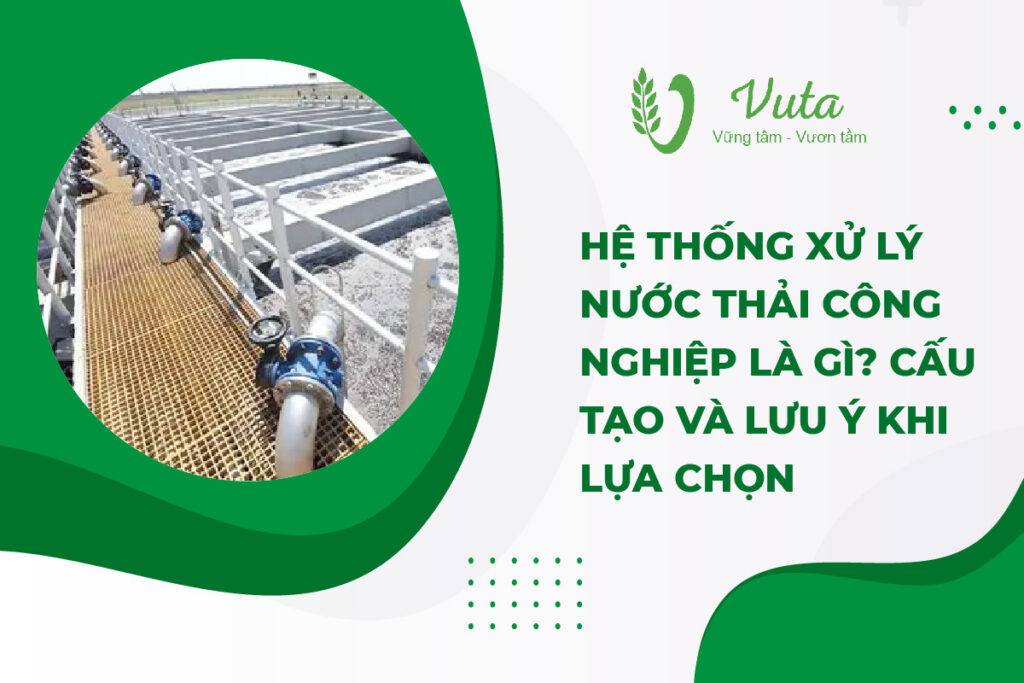 Hệ Thống Xử Lý Nước Thải Công Nghiệp Là Gì? Cấu Tạo Và Lưu Ý Khi Lựa Chọn