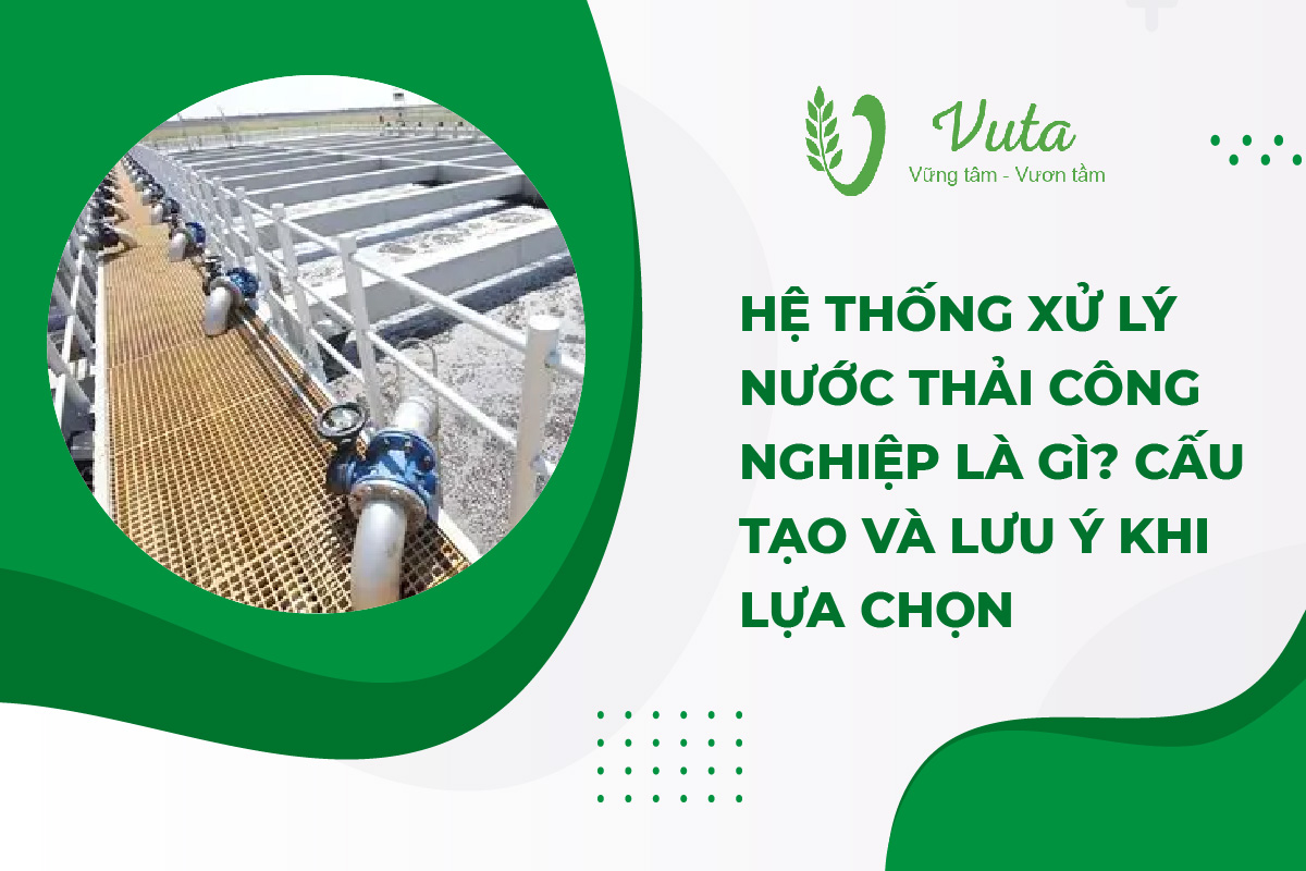 Hệ Thống Xử Lý Nước Thải Công Nghiệp Là Gì? Cấu Tạo Và Lưu Ý Khi Lựa Chọn