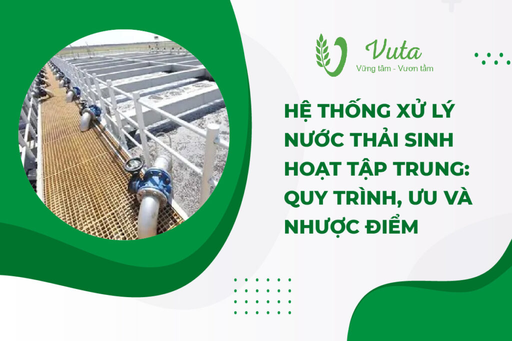 Hệ Thống Xử Lý Nước Thải Sinh Hoạt Tập Trung: Quy Trình, Ưu Và Nhược Điểm