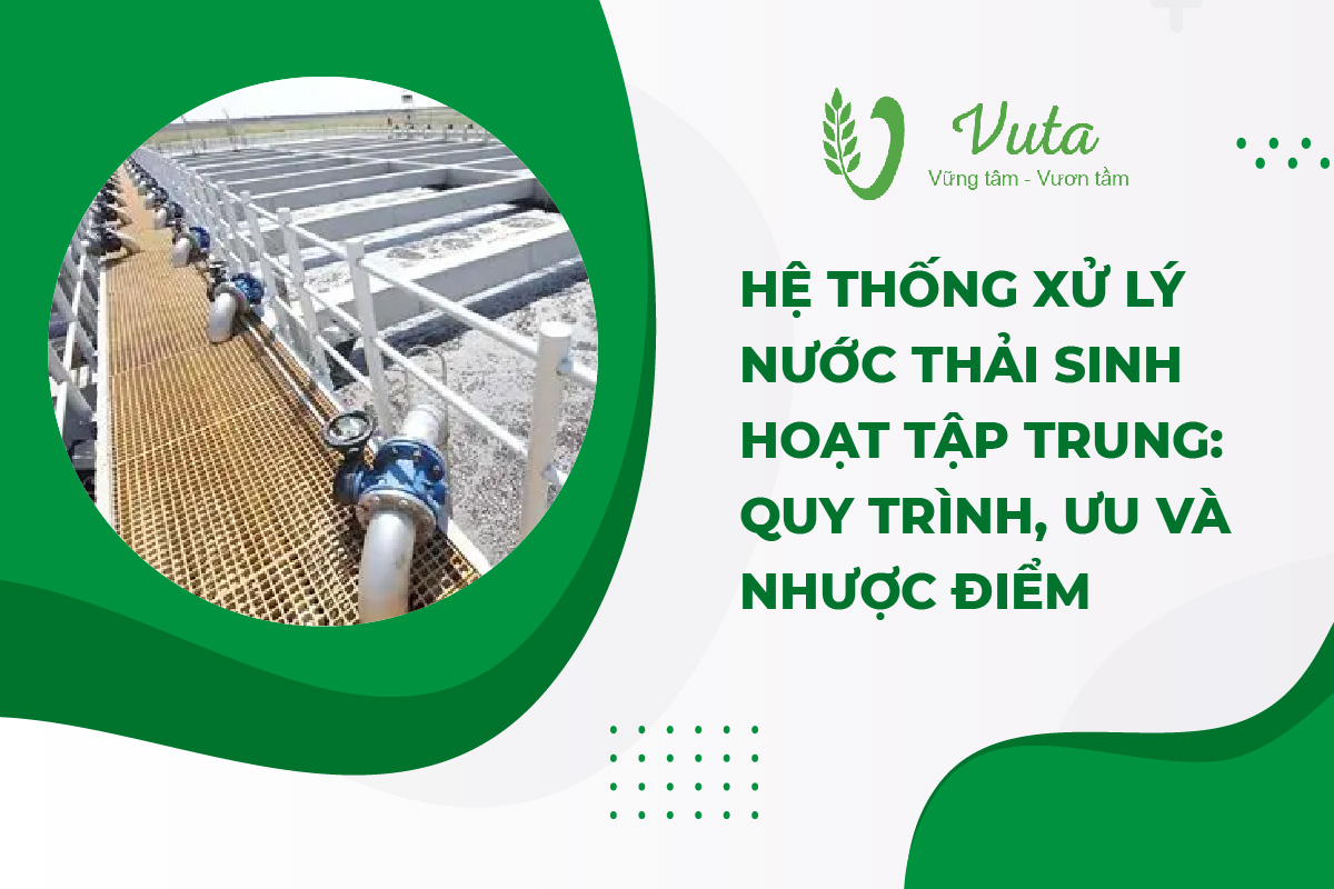 Hệ Thống Xử Lý Nước Thải Sinh Hoạt Tập Trung: Quy Trình, Ưu Và Nhược Điểm