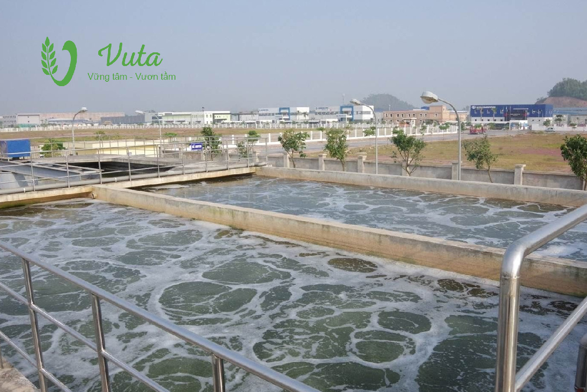 Xử lý nước thải ngành thực phẩm – Long An