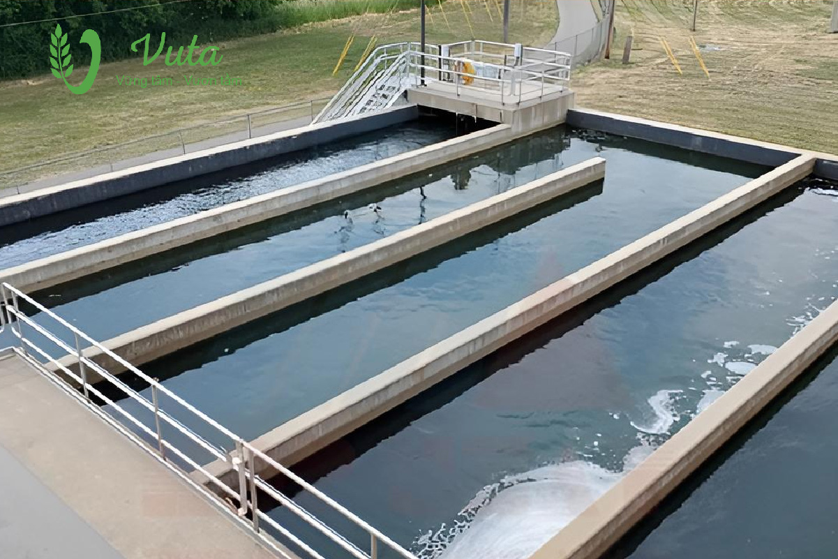 Bể khử trùng và mô hình tích hợp hiện đại