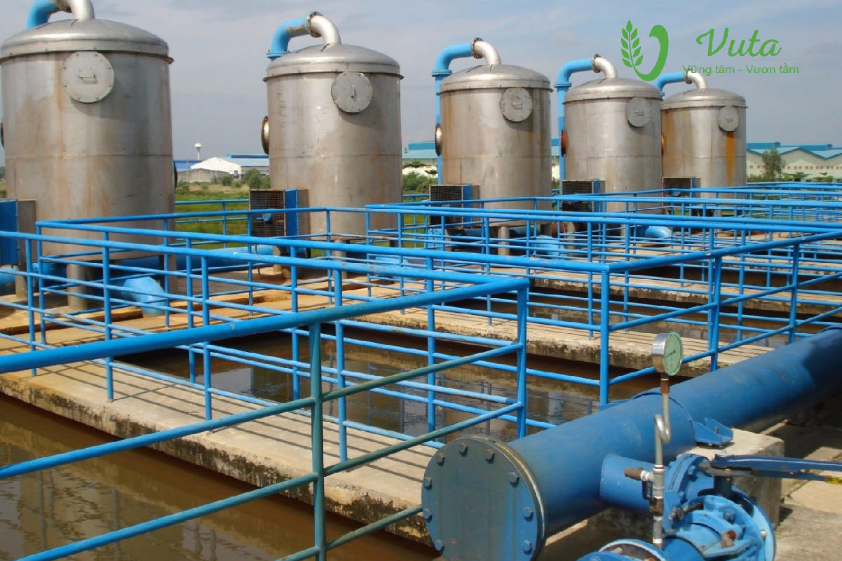 Bể xử lý nước thải sinh hoạt sơ cấp: Thu gom và điều hòa