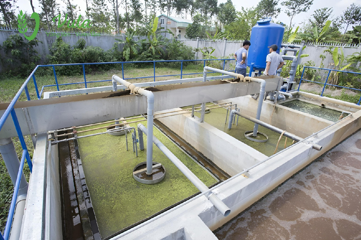 Bể xử lý sinh học: Hiếu khí, thiếu khí và kỵ khí