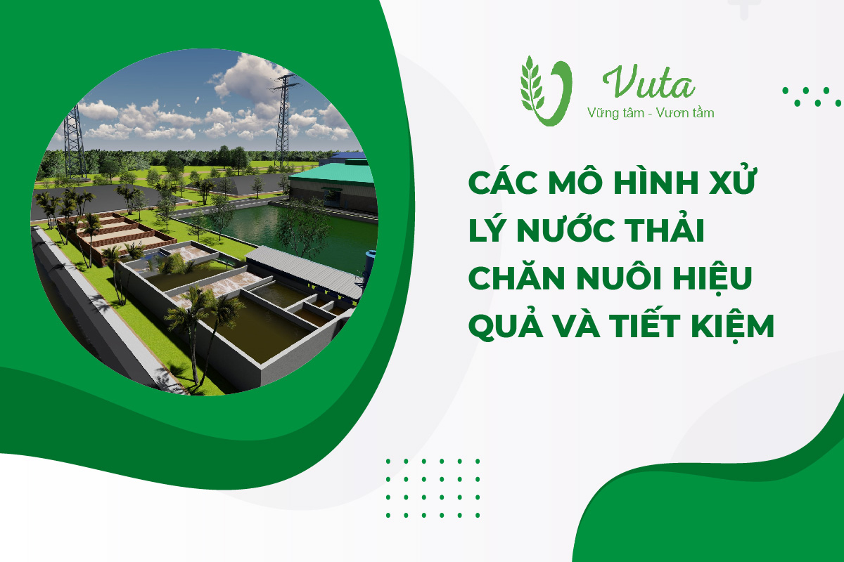 Các Mô Hình Xử Lý Nước Thải Chăn Nuôi Hiệu Quả Và Tiết Kiệm