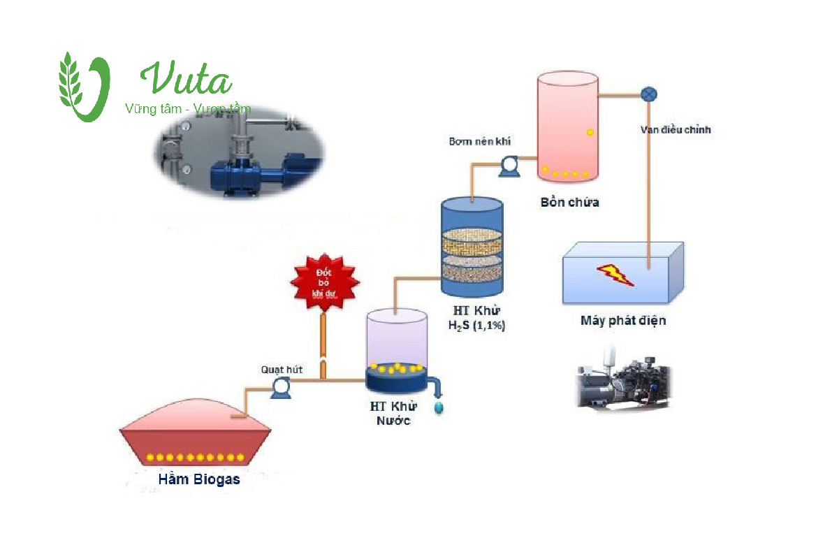 Công nghệ xử lý nước thải chăn nuôi heo bằng hầm biogas