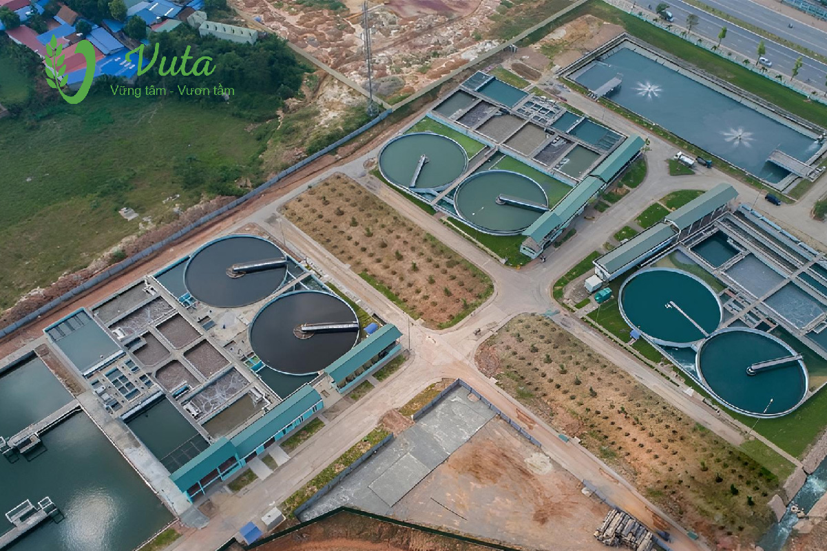 Công nghệ xử lý nước thải chăn nuôi heo theo mẻ SBR
