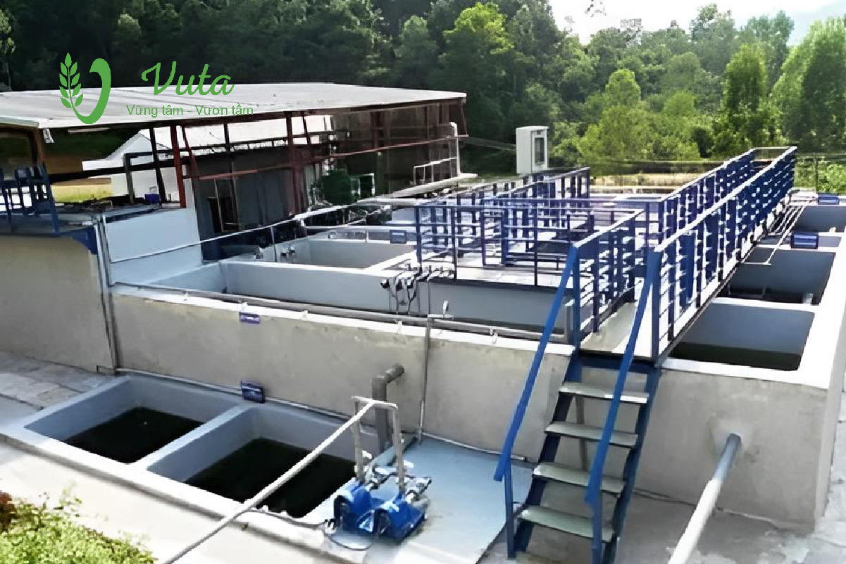 Công nghệ xử lý nước thải chăn nuôi heo - Công nghệ lý – hóa – sinh học tích hợp