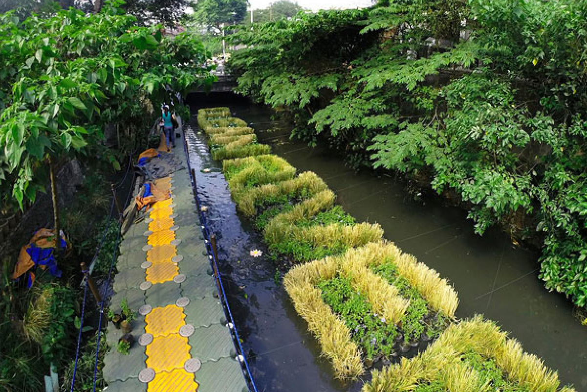 Hạn chế của xử lý nước thải chăn nuôi bằng thực vật