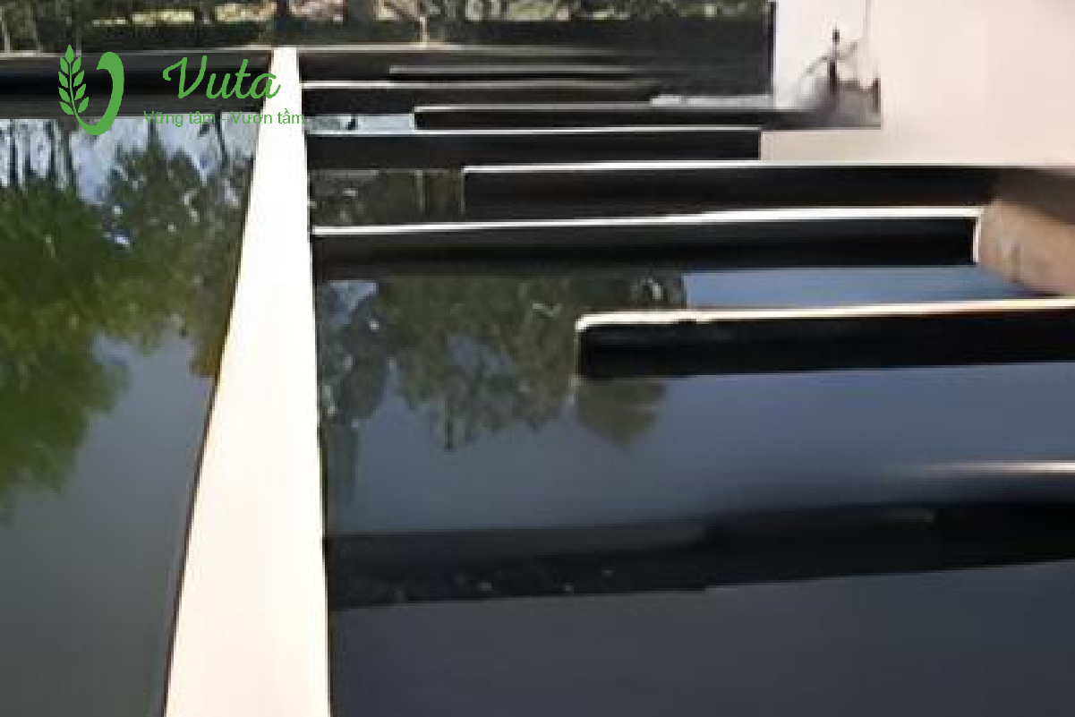 Hệ thống xử lý nước thải sinh hoạt tập trung - Khử trùng và xử lý nước sau cùng