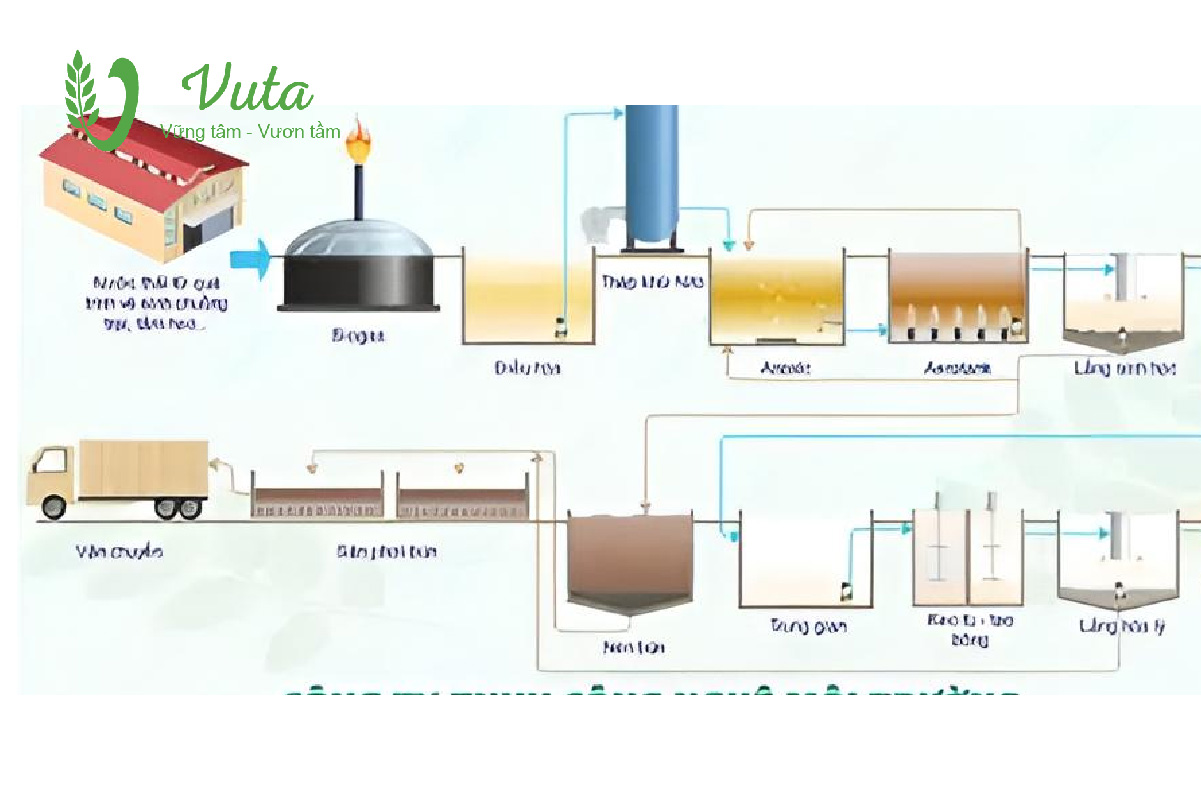 Mô hình xử lý nước thải chăn nuôi bằng ao sinh học và mương oxy hóa