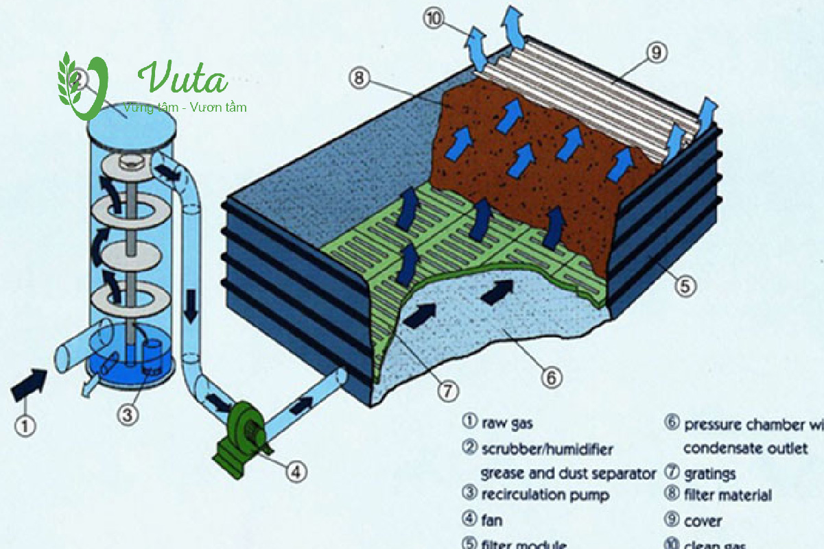 Mô hình xử lý nước thải chăn nuôi bằng hệ thống Biofilter và Constructed Wetlands