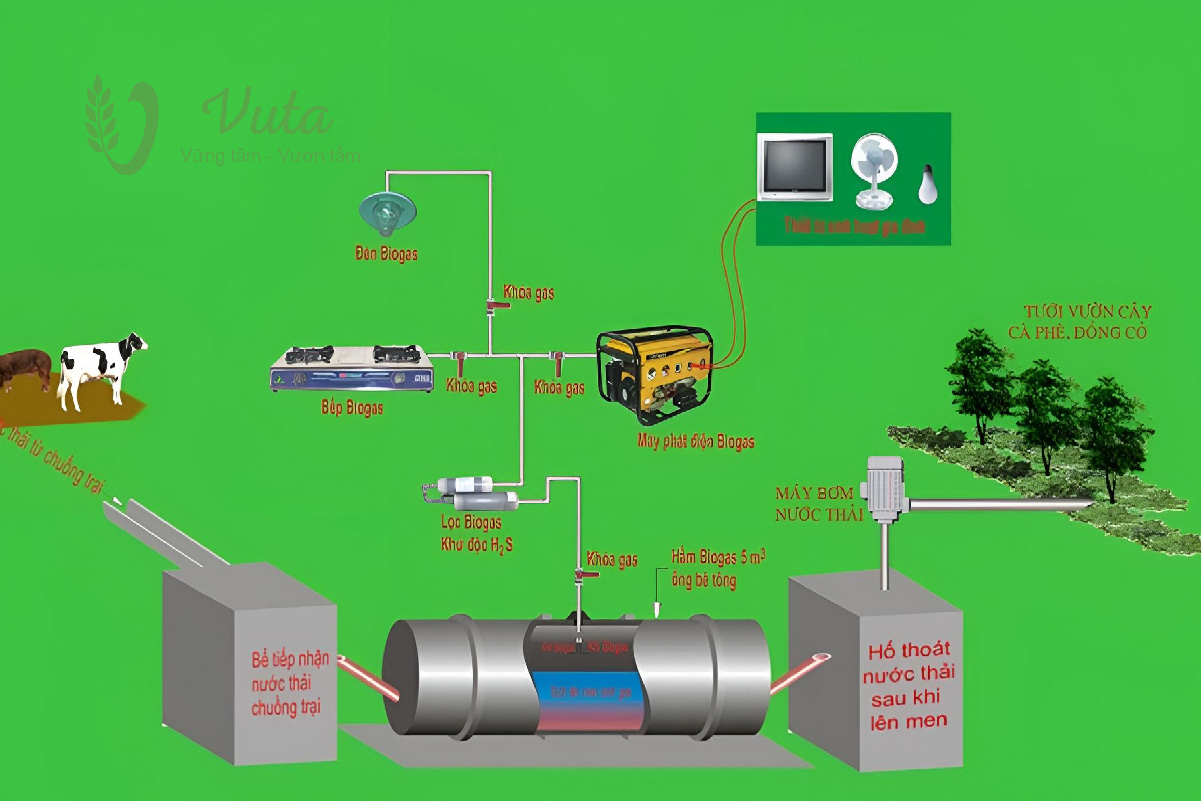 Mô hình xử lý nước thải chăn nuôi kết hợp đa giai đoạn