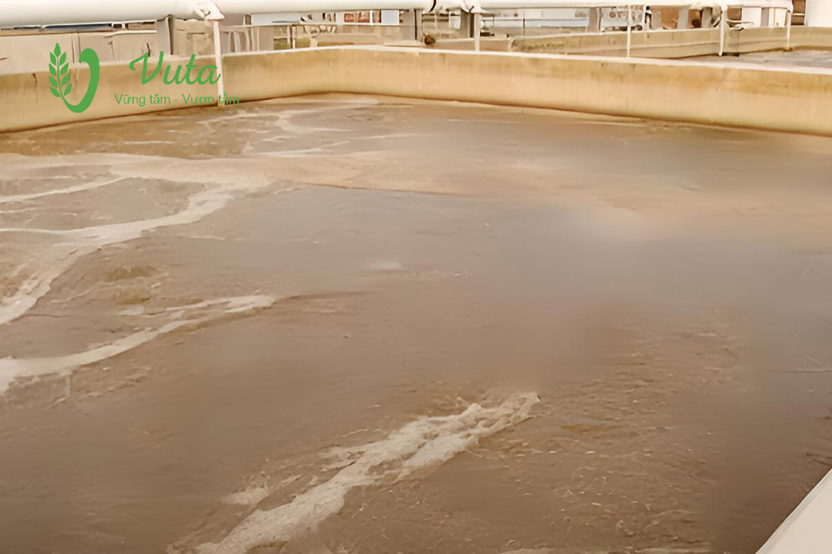 Nhược điểm của công nghệ xử lý nước thải sinh hoạt MBBR