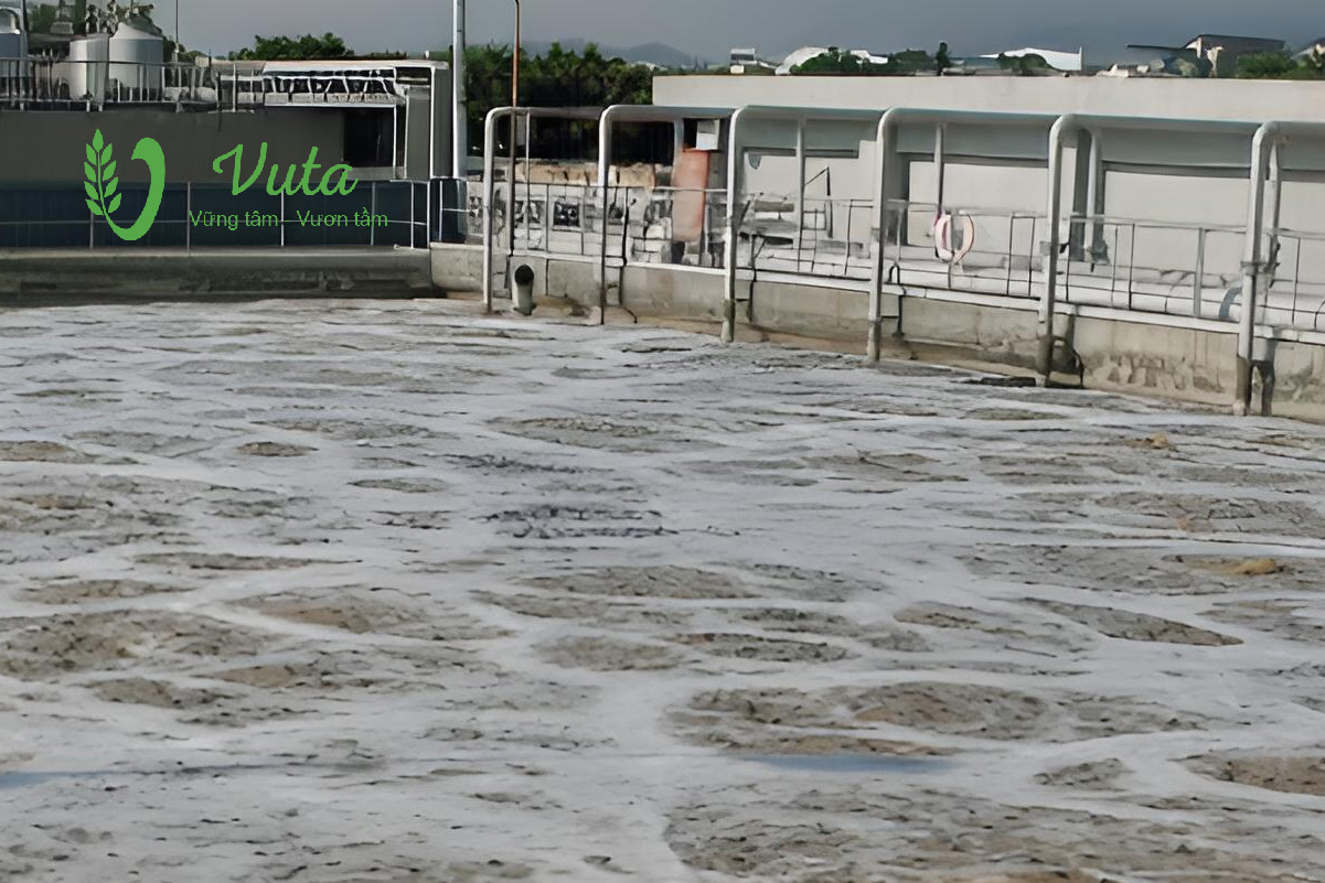 Ưu điểm của công nghệ xử lý nước thải sinh hoạt MBBR