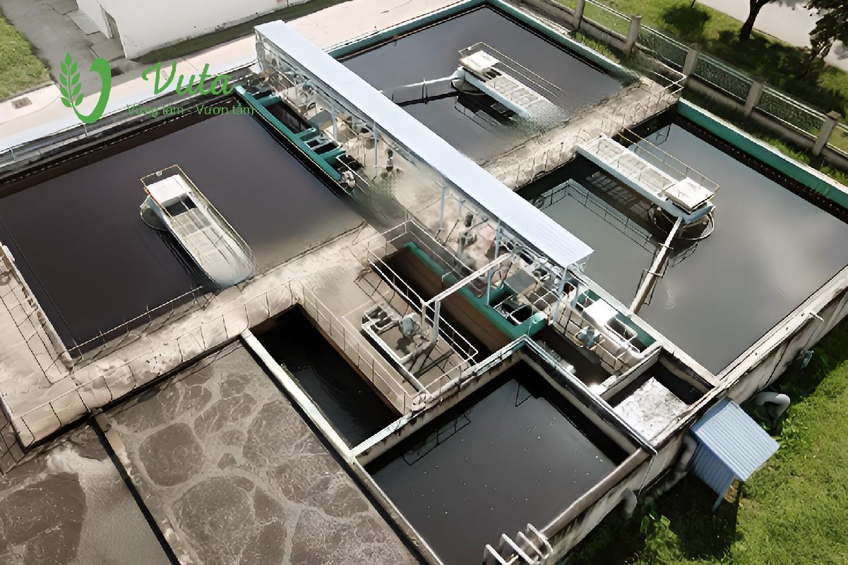 Ưu điểm vượt trội của hệ thống xử lý nước thải sinh hoạt tập trung